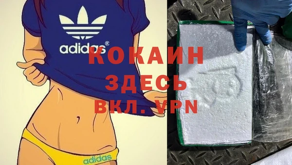 стаф Мегион