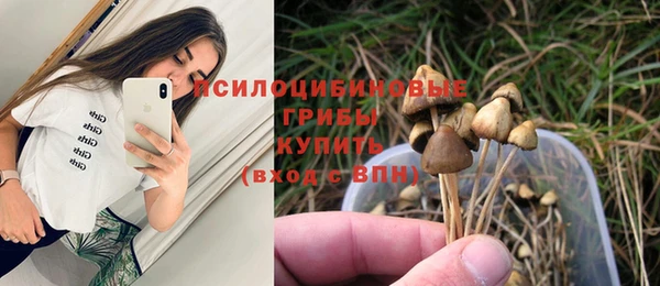стаф Мегион