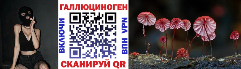 Псилоцибиновые грибы Cubensis Купить закладки Крым